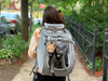 How to Train Your Cat for Backpack Adventures