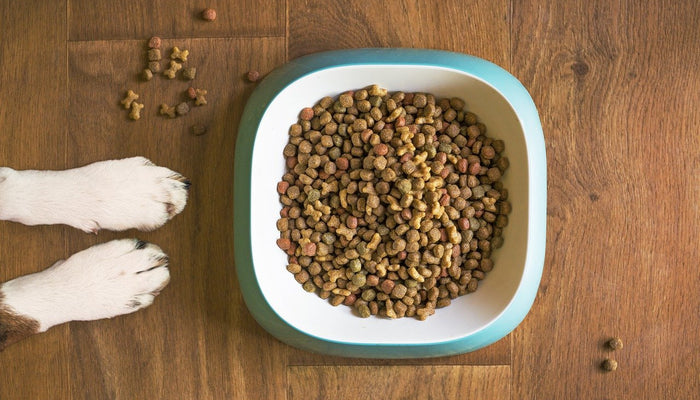 Bowl of Kibble