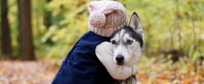 Animal Charities in Portland Oregon