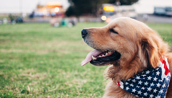 Fourth of July Safety Tips