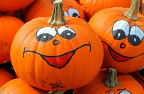 Halloween Safety Tips for Pets