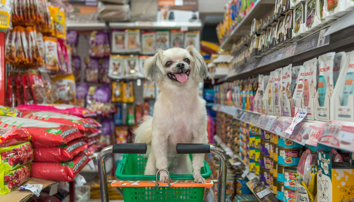 Small Dog Standing on Shopping Cart in Grocery Store Pet Food Aisle
