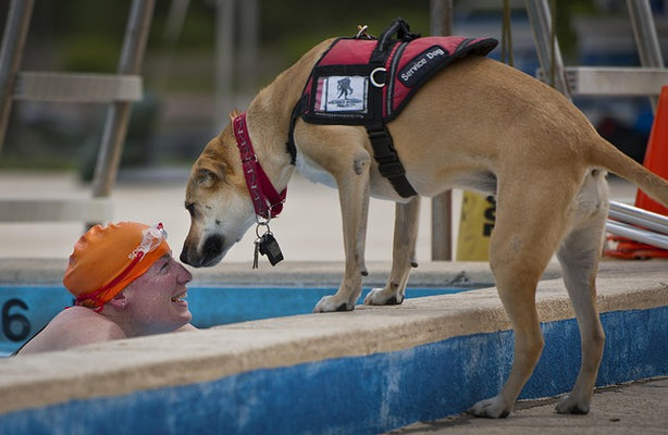 Service Animals