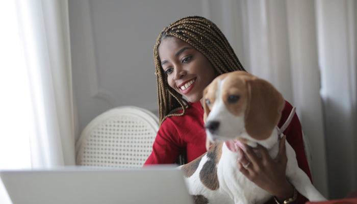 Working From Home With Pets