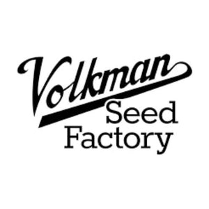 Volkman