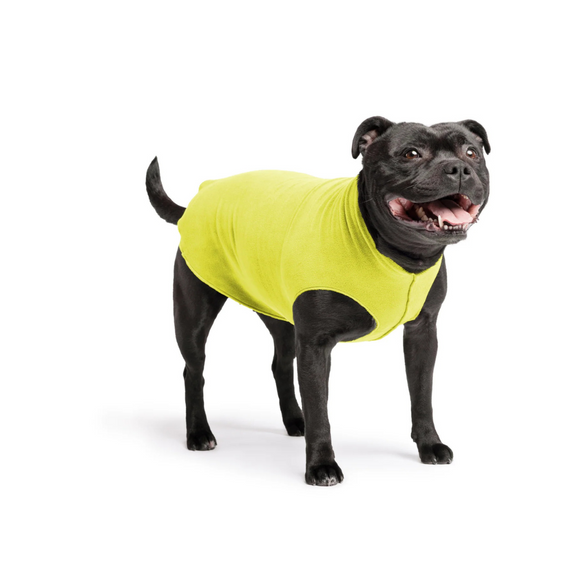 Stretch Fleece Pullover Dog Sweater in Avocado
