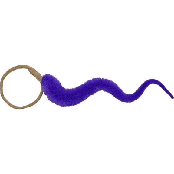 A-Lure-Ring with Worm Cat Toy