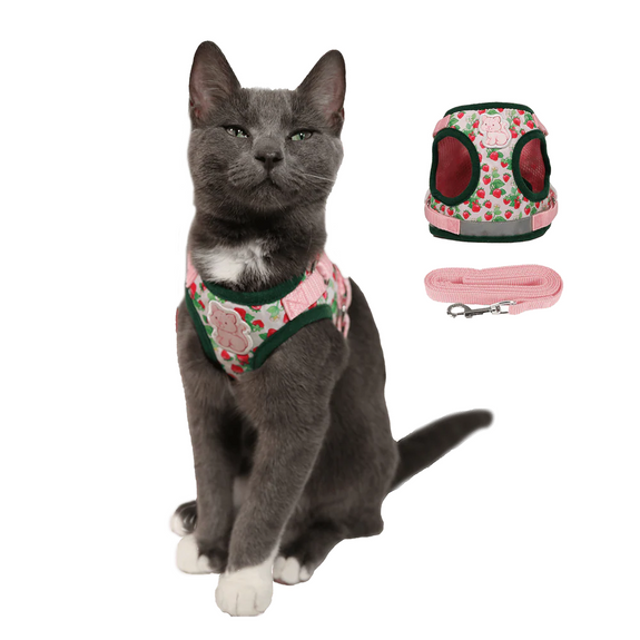 Strawberry Shortcake x Travel Cat Harness & Leash Set