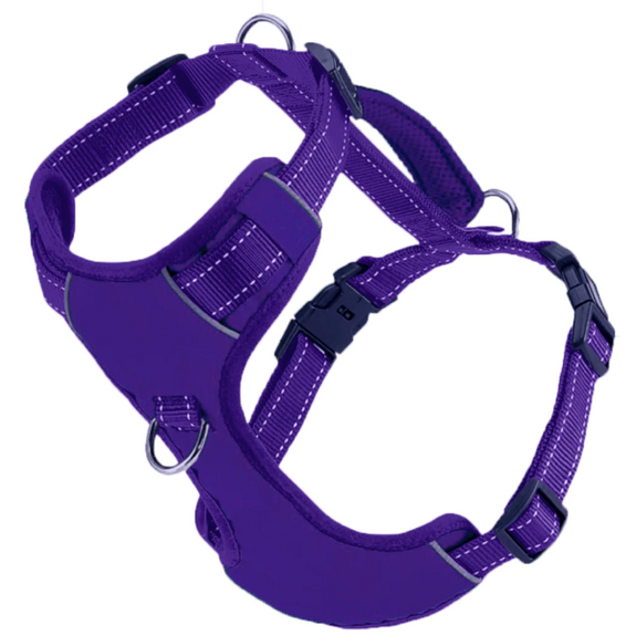 Monterey Bay Dog Chesapeake Harness Purple Rain