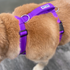 alternate product image