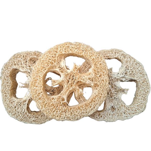 Banana Carrot Loofah Small Animal Chew