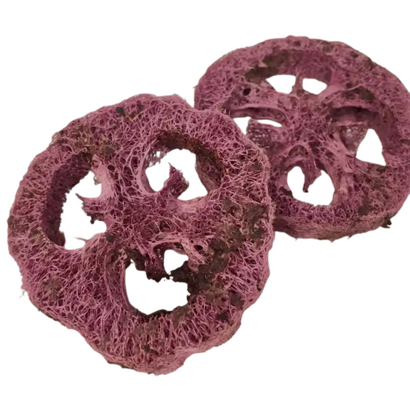 Mixed Berry Loofah Small Animal Chew