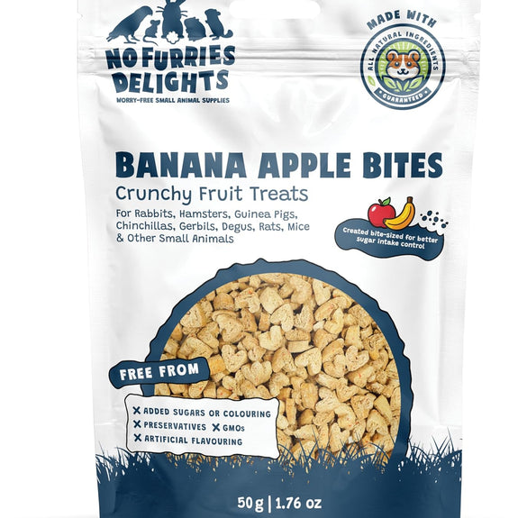 Banana Apple Bites Crunchy Fruit Treats