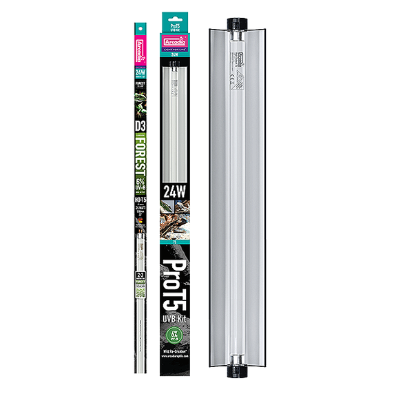 Pro T5 Forest 6% UVB 24 Inch 24 Watt Lighting Kit for Reptiles