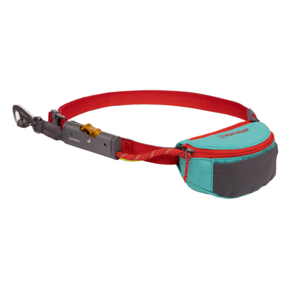 Hitch Hiker Portable Hitch & Leash Combo for Dogs Red & Aurora Teal