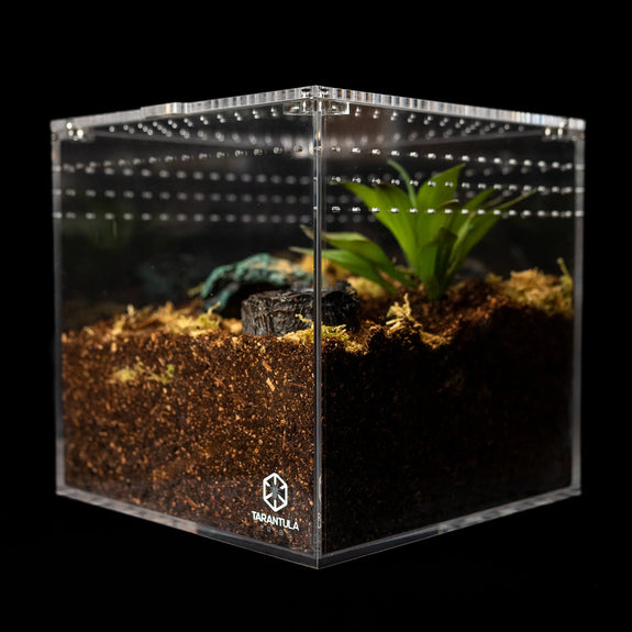 Acrylic Cube Invertebrate Enclosure