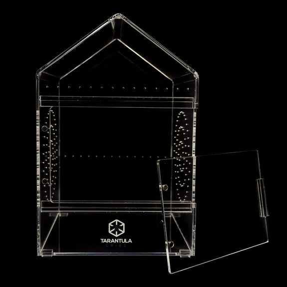 Canopy Slider Acrylic Invertebrate Enclosure, Small