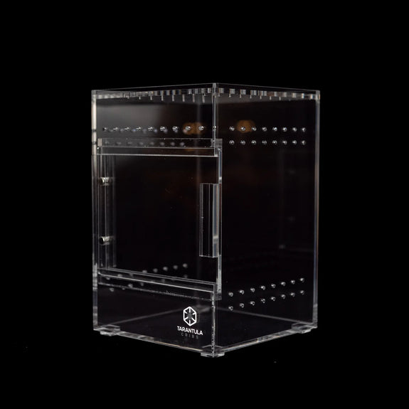 Treehouse Acrylic Invertebrate Enclosure