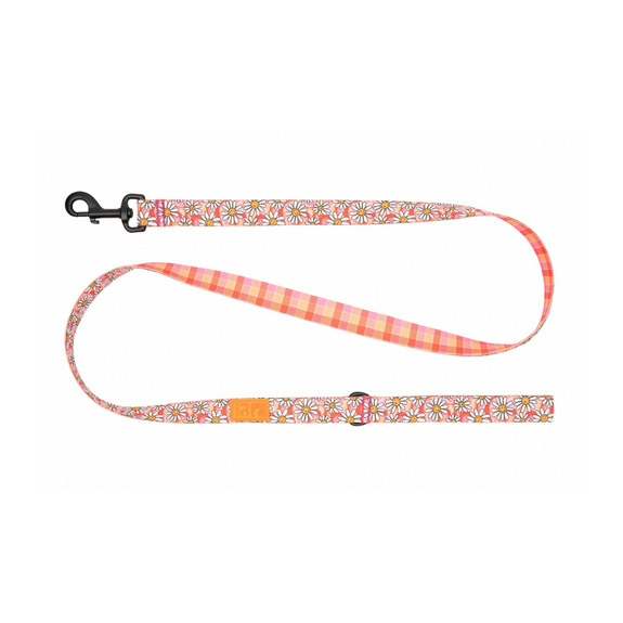 Eco Clip Dog Leash, Daisy Joy