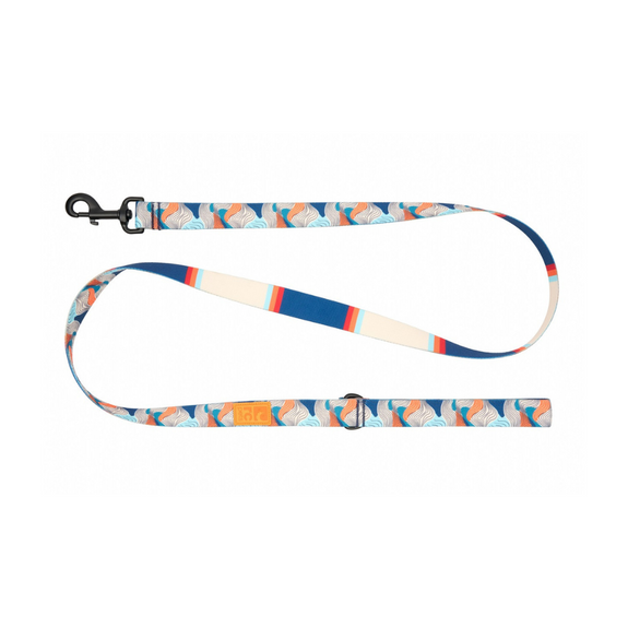Eco Dog Leash, Riptide