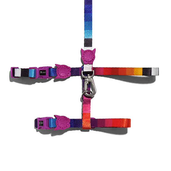 Nylon Adjustable Harness & Leash for Cats Prisma Rainbow