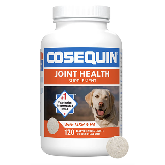 Cosequin DS Maximum Strength Joint Health Dog Supplement Chewable Tablets