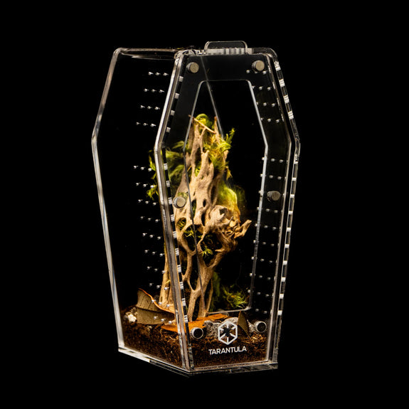 Coffin Crib Acrylic Invertebrate Enclosure Clear