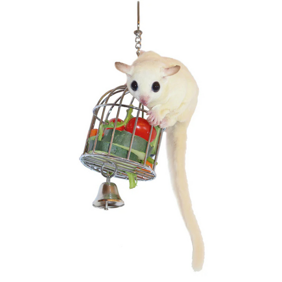 Jungle Forager Fruit and Veggie Basket Hanging Bird Toy