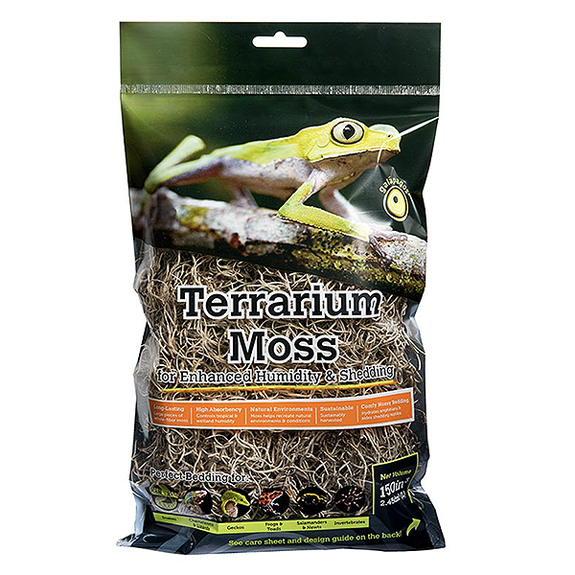 Spanish Moss Humidity Decorative Clumps for Tropical & Forest Terrariums