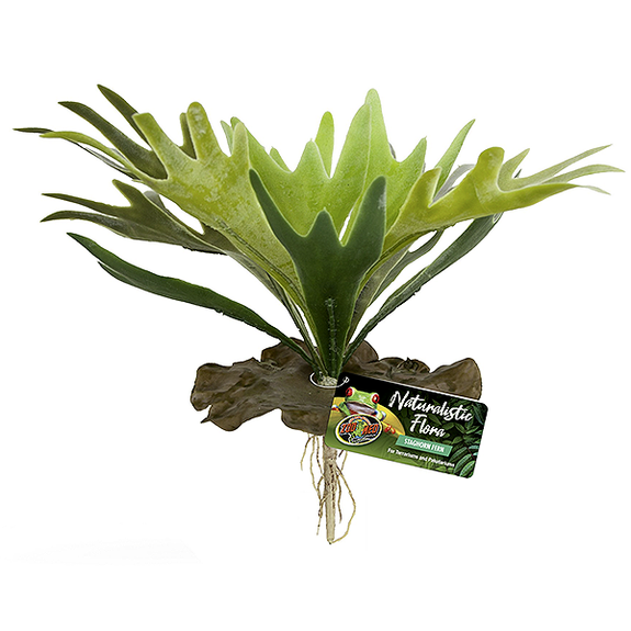 Staghorn Fern Naturalistic Flora Decor for Reptile Terrariums