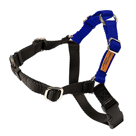Wonder Walker No-Pull Body Halter Dog Harness Royal Blue