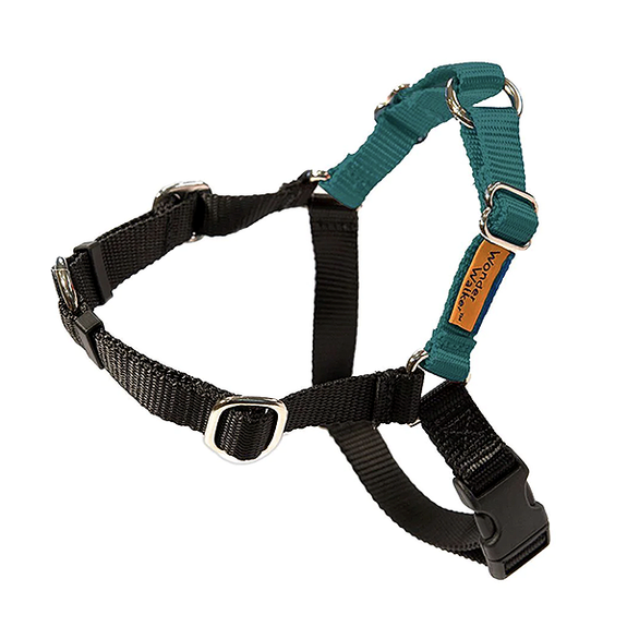 Wonder Walker No-Pull Body Halter Dog Harness Teal