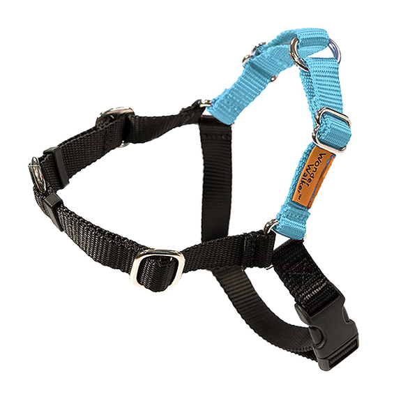 Wonder Walker No-Pull Body Halter Dog Harness Turquoise