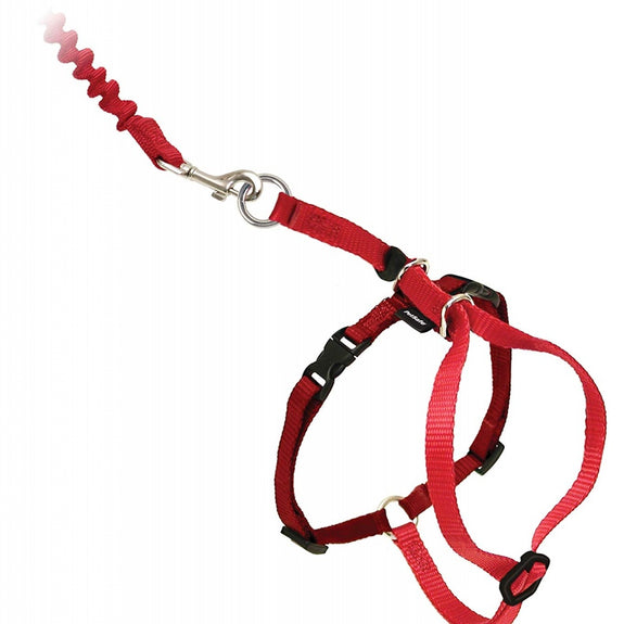 PetSafe Come with Me Kitty Red & Cranberry Harness and Bungee Leash for Cats