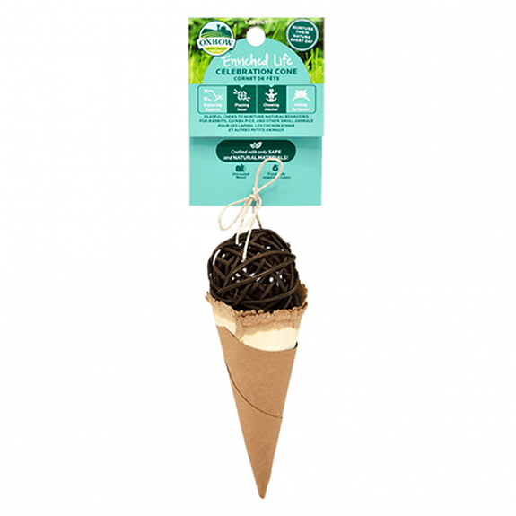 Enriched Life Celebration Cone Small Animal Chew Toy