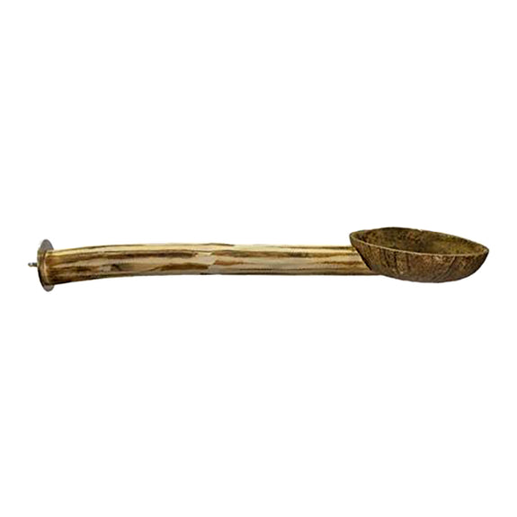 Natural Coconut Cup with Perch Bird Dish Habitat Addition