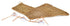 alternate product image