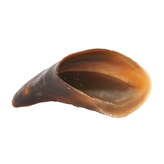 Cow Hoof Dog Chew