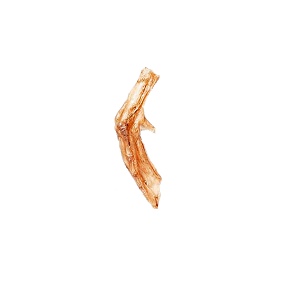 Natural Dehydrated Duck Foot Dog Chew