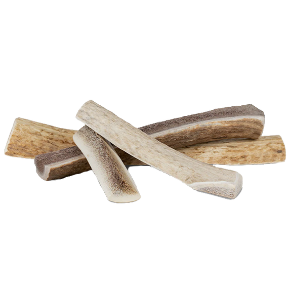 Elk Antlers Natural Dog Chew