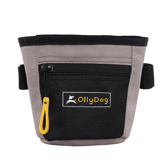 Goodie Treat Bag for Dogs Champagne