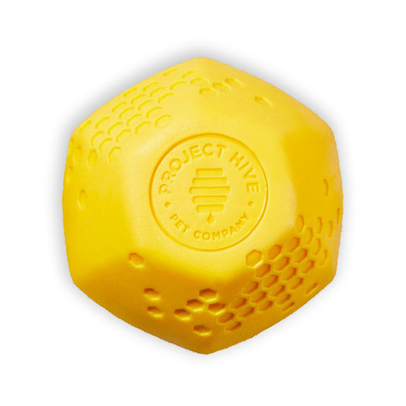 Hive Ball Erratic Bouncy Floating Dog Ball Toy