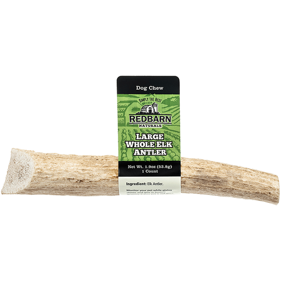Elk Antler Whole Dog Chew