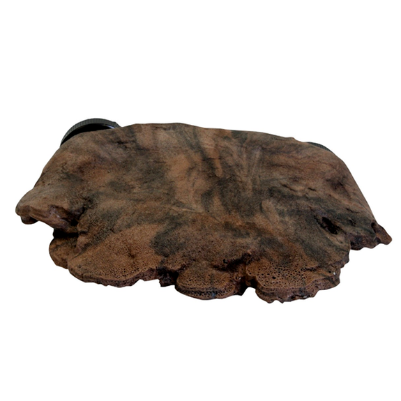 MagNaturals Mushroom Ledge Reptile Habitat Addition