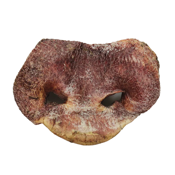 Raw Bar Pig Snout Freeze-Dried Dog Chew