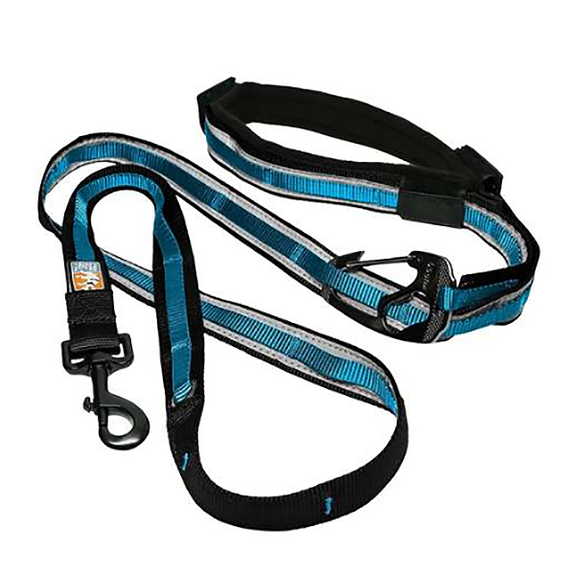 Quantum 6-in-1 Dog Leash Reflective Blue