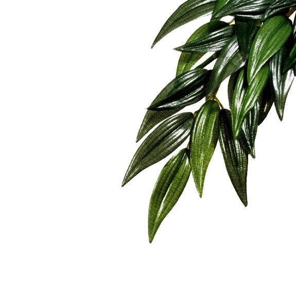 Ruscus Silk Realistic Artificial Plant Reptile Habitat Decor