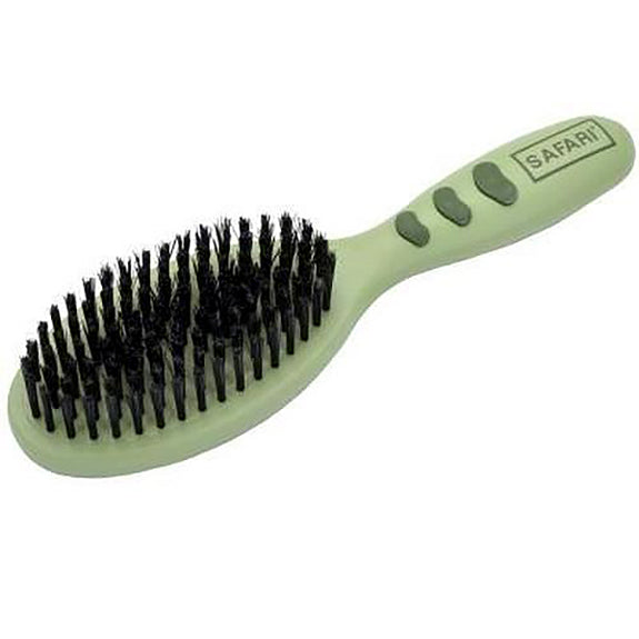 Safari Dog Bristle Brush with Handle