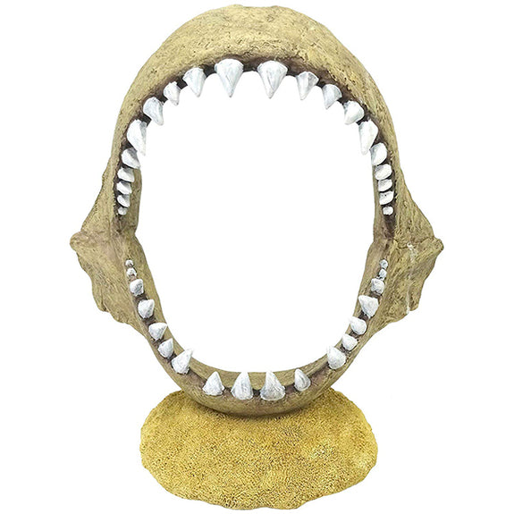 Shark Jaw Aquarium Decoration