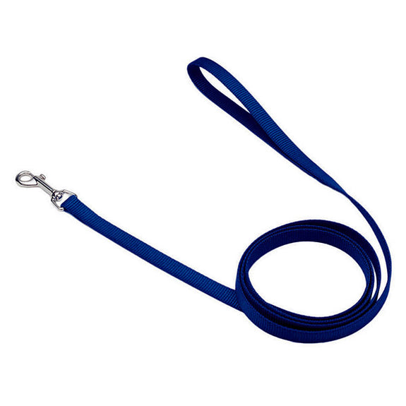 Single-Ply Nylon Leash Blue